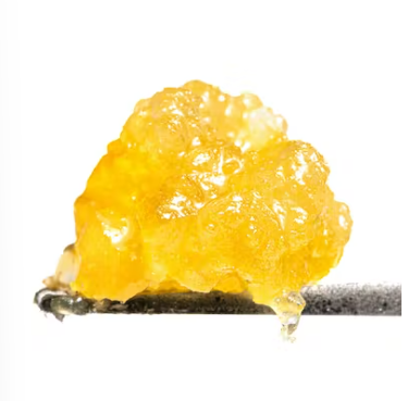 Featured image for “WEST COAST CURE Gas OG Live Resin Sugar [ I ] THC% 85.6”