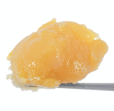 Featured image for “WEST COAST CURE Sour OG Live Resin Badder [ H ] THC% 79.0”