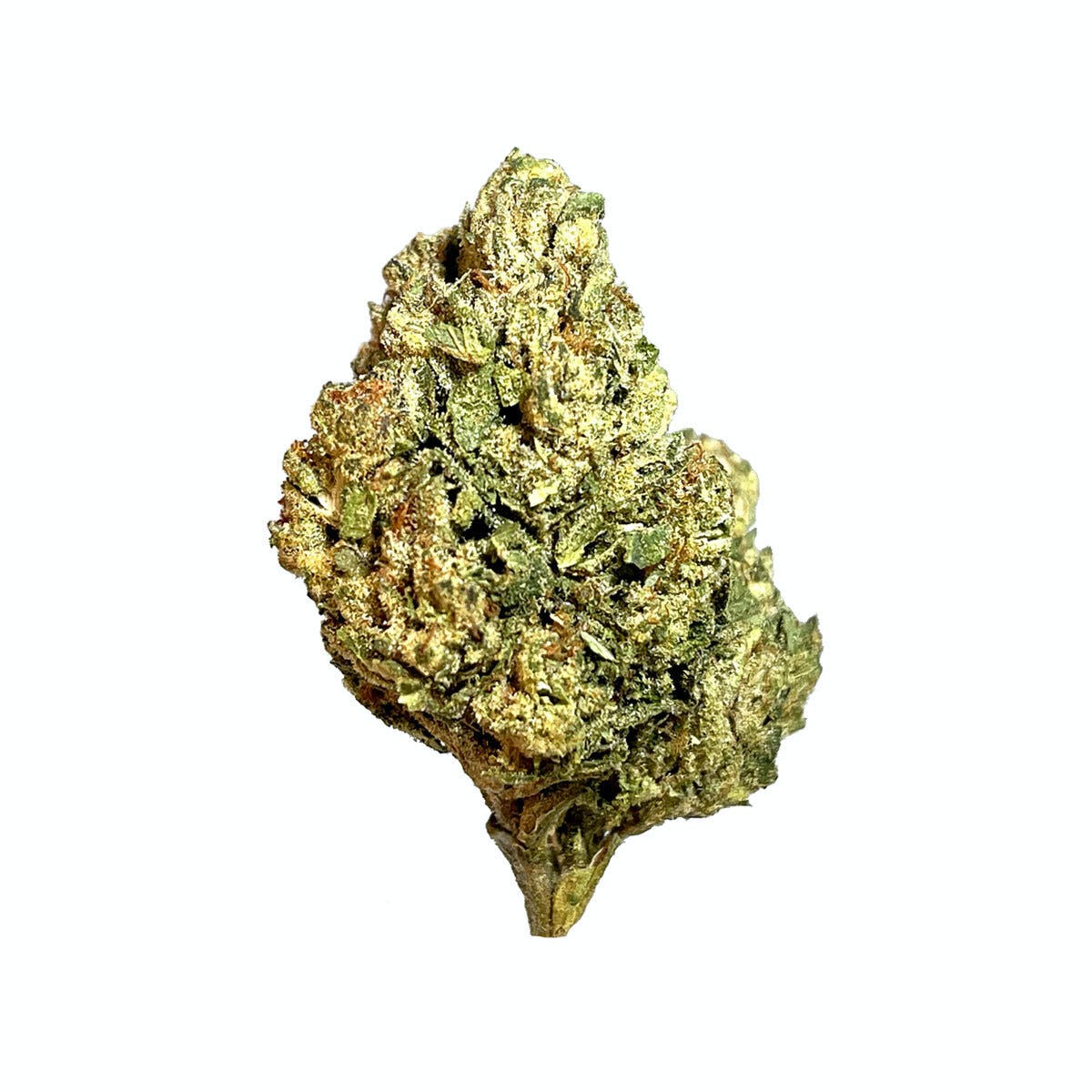 Featured image for “SMOAKLAND Exotix - Biscotti Sundae (H) - 14g [ H ] THC% 28.76”