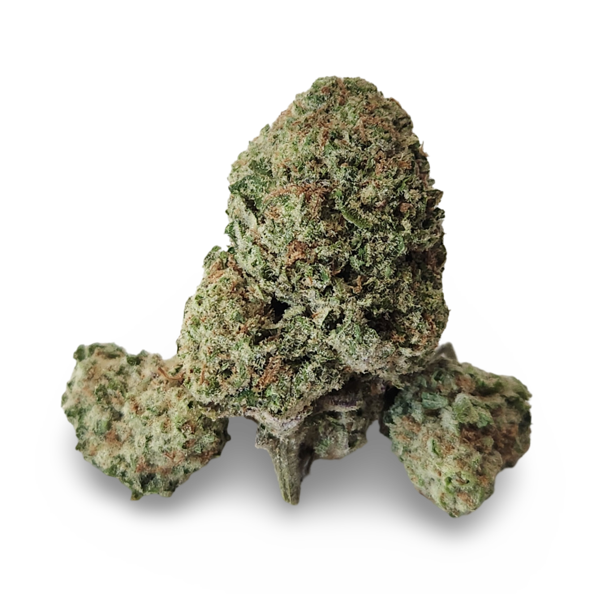 Featured image for “CaliBlaze -Mango Kush [ H ] 14 g THC% 35.3”