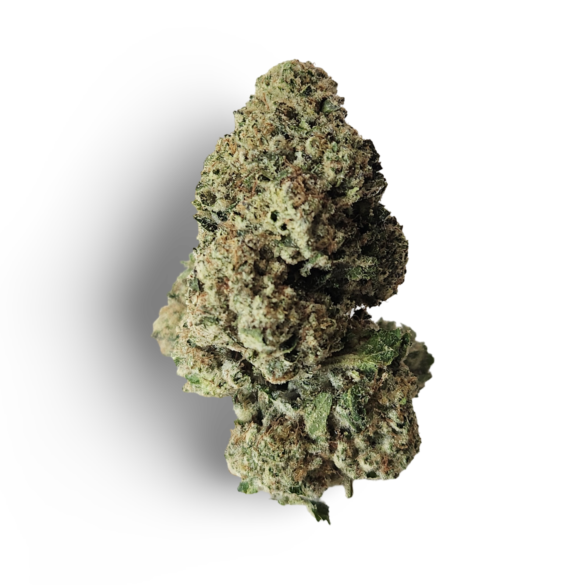 Featured image for “CaliBlaze -Purple Truffle [ I/H ] 14 g THC% 32.2”