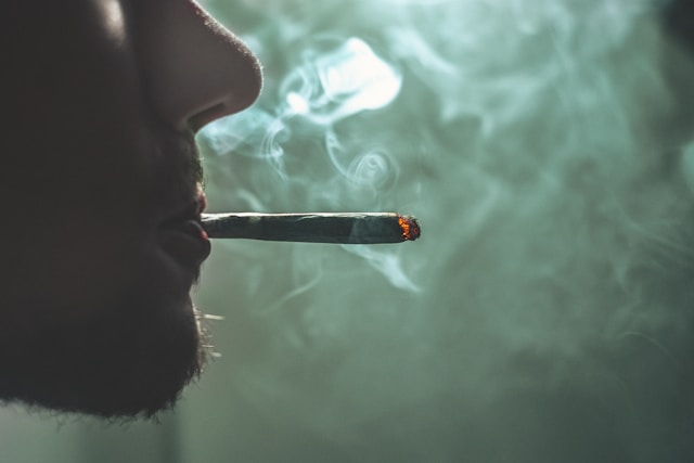 Featured image for “Can Cannabis Smoke Be Filtered: Effective Methods and Considerations”