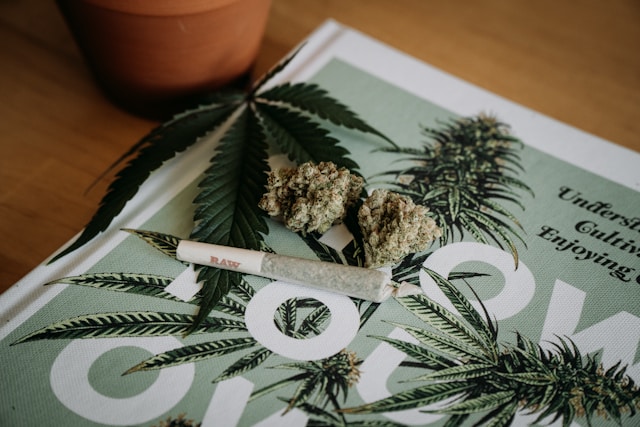 Featured image for “Exotic Cannabis Strains: Discover Unique Flavors and Effects”