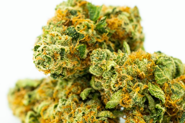 Featured image for “Cannabis Flavors: Exploring Unique Taste Profiles”