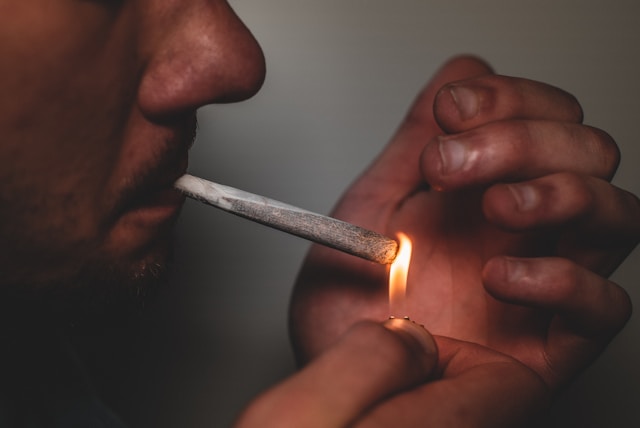 Featured image for “Cannabis Flavor Profiles: Exploring Unique Tastes and Aromas”
